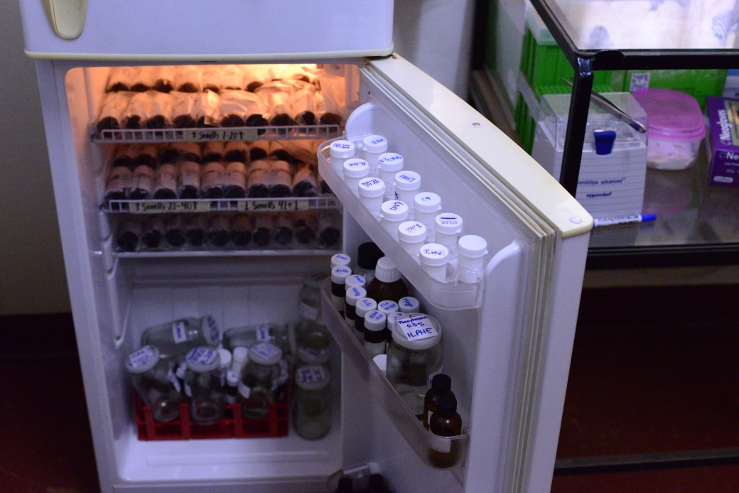 Fridge full of scent samples for experiments with the rats to test their detection capabilities